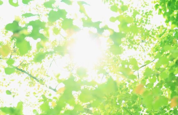 京都で電気工事関連の求人をお探しなら